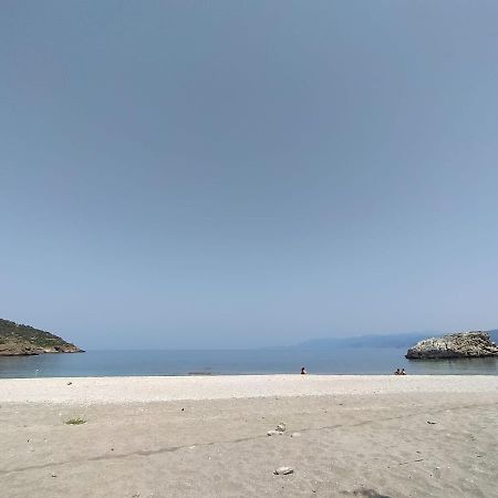 Rising Sun Guesthouse Mesochoria Экстерьер фото
